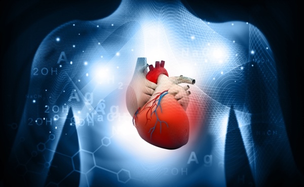 L'eccesso di grasso che ricopre cuore e coronarie non fa più paura