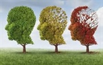 Interceptor: lo studio per prevedere l'Alzheimer